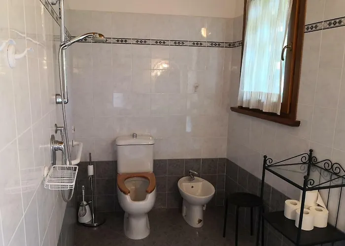 Trattoria Bar Oasi Pocenia