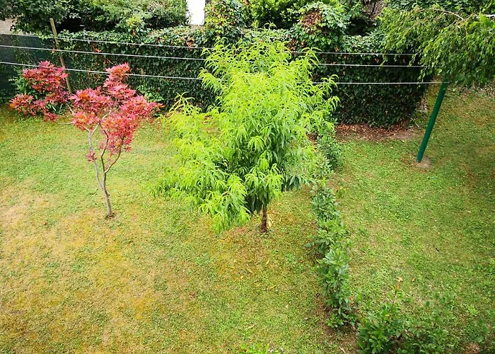 Vendégház Trattoria Bar Oasi *